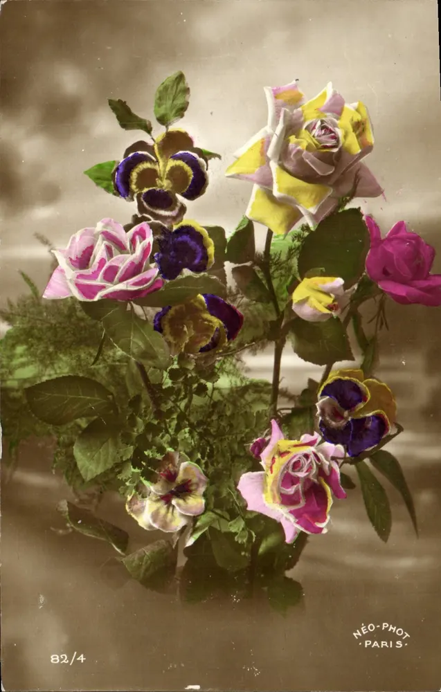 Arranjo de rosas e pensos — Néo-Phot, Paris, n° 82/4 - Frente