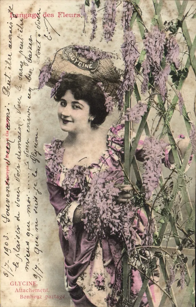 Wisteria — Sprache der Blumen — unbekannter Verlag, Seriennummer nicht sichtbar - Vorderseite