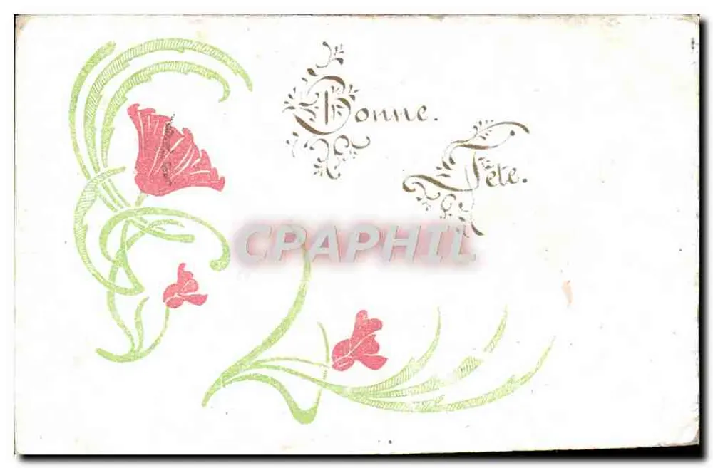 Flores — Decoração floral — Editor não visível - Frente
