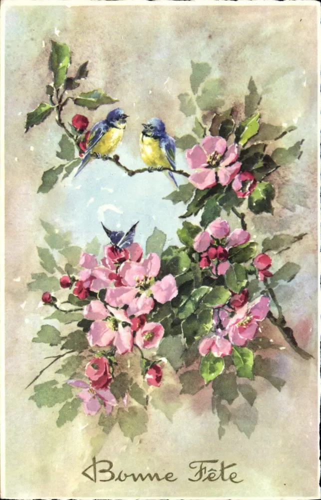 Vogels en bloemen — Gelukkige verjaardag — illustratieve ansichtkaart - Voorkant