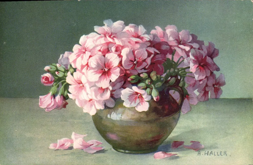Geranienbouquet — A. Haller — Verlag Messrs. & B. Buch Leipzig - Vorderseite
