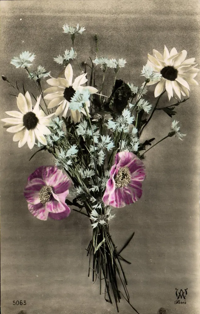 Flower bouquet — purple anemones and daisies — W. Paris, n° 5063 - Front