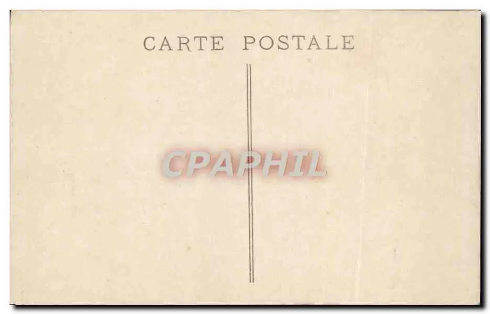 Flower bouquet — purple anemones and daisies — W. Paris, n° 5063 - Back