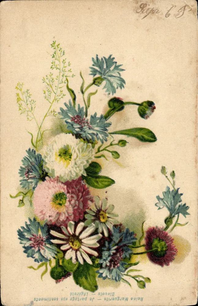 Bouquet de fleurs — composition florale avec marguerites et chrysanthèmes — K. F. Editeurs, Paris - Voorkant