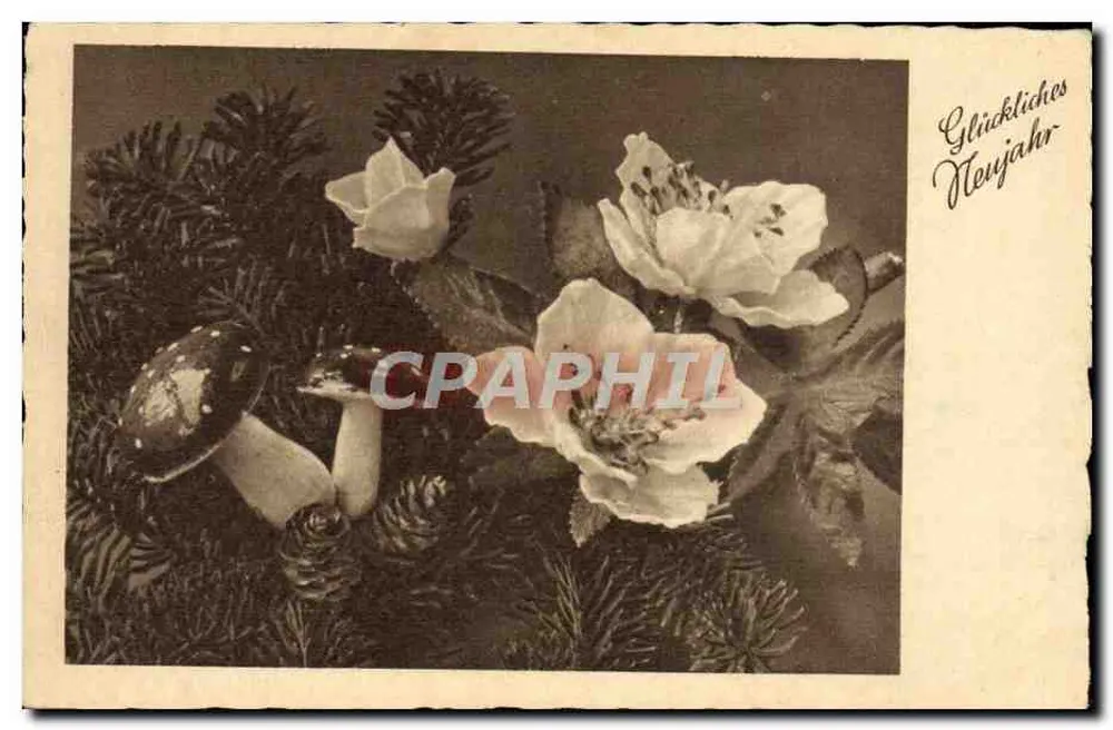 Funghi e fiori di anemone — decoro di Natale — editore sconosciuto - Recto