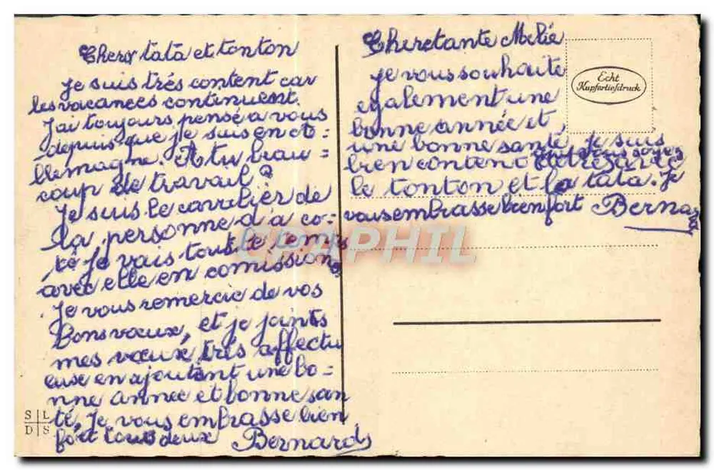 Funghi e fiori di anemone — decoro di Natale — editore sconosciuto - Verso