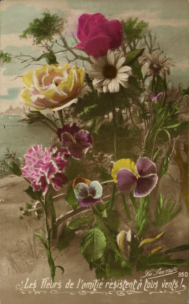 Bloemen van de vriendschap die tegen alle winden standhouden — La Favorite 950 - Voorkant
