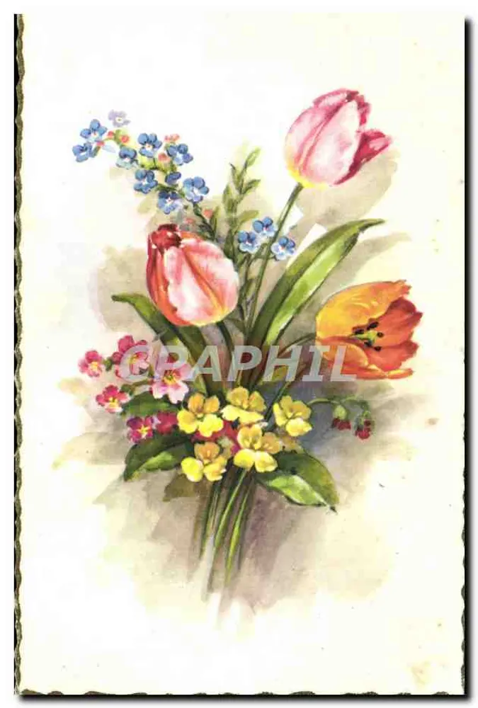 Bouquet van tulpen en bloemen — Edities Superluxue-Paris - Voorkant