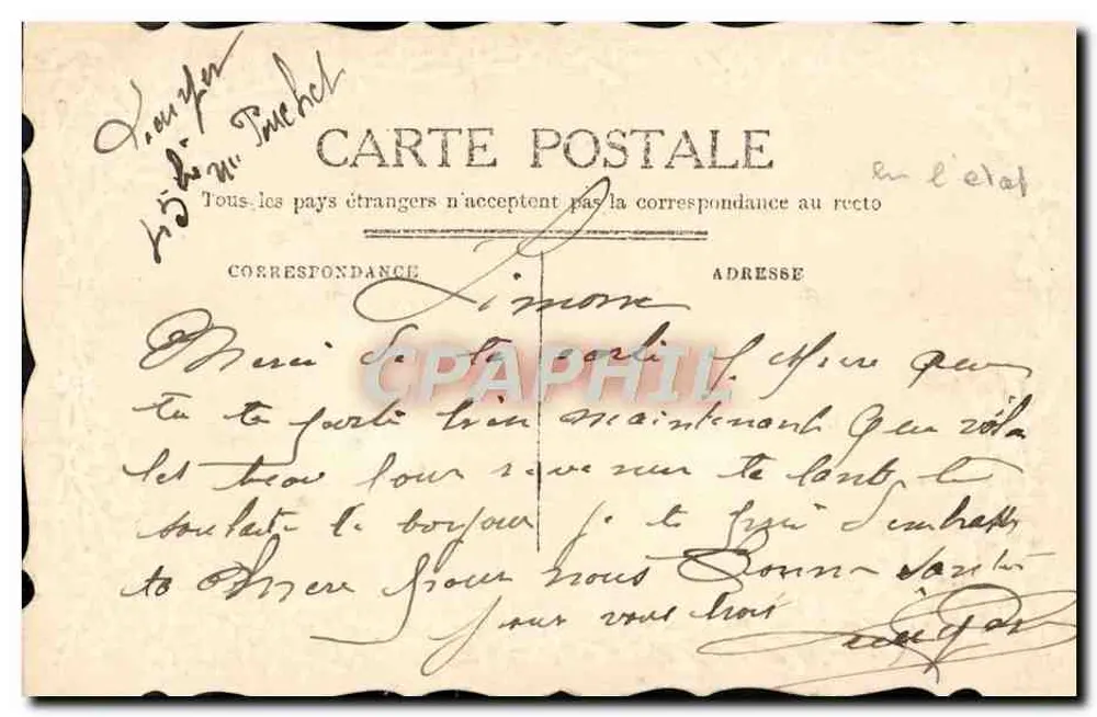 Brindilles de plantes — éditeur non visible - Verso