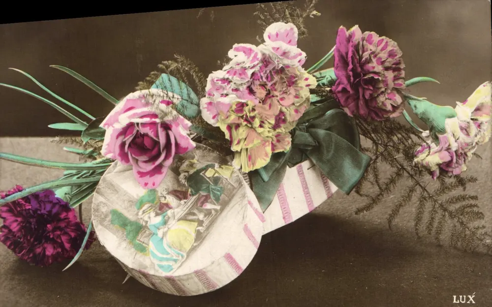 Arranjo de flores coloridas — editor LUX - Frente