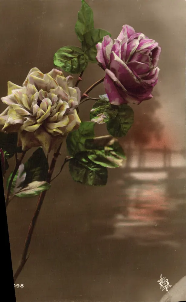Duas rosas — uma amarela pálida, uma violeta — sobre fundo de reflexo d'água — editor B. 198 - Frente