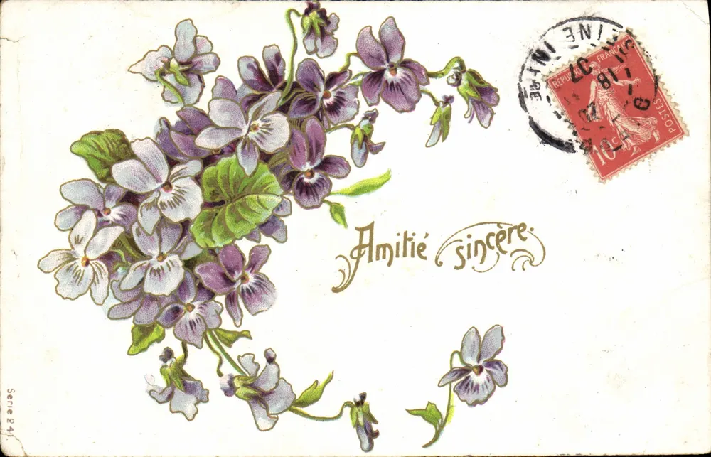 Violettes — bouquet — éditeur non visible, série 241 - Voorkant