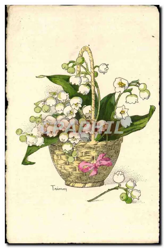 Bouquet de muguet — illustration — Trimm - Recto