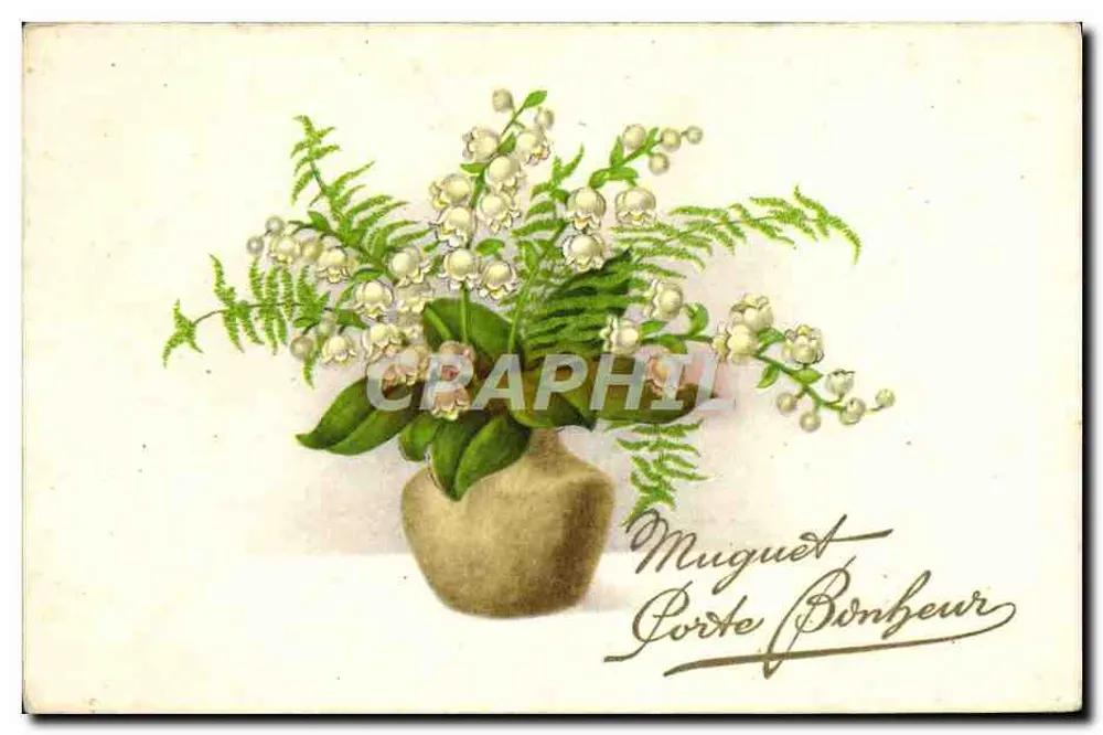 Lamour de printemps — Muguet et fougères — éditeur non visible - Recto