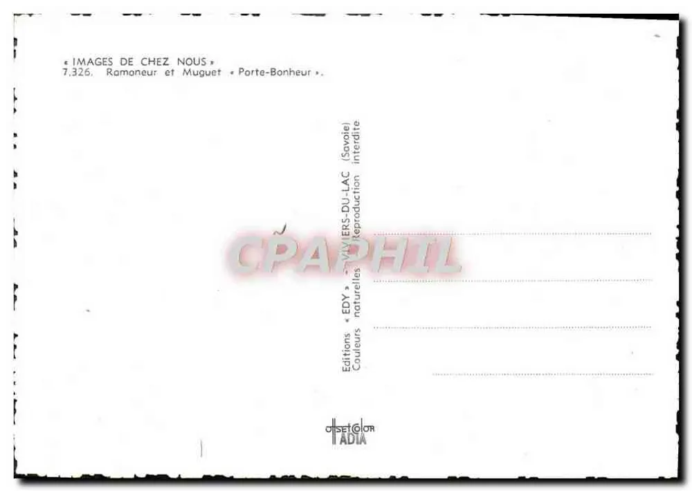 Kind mit einem Strauß von Mädesüß — schneebedeckte Berge — Verlag Edy, Nr. 7.326 - Rückseite