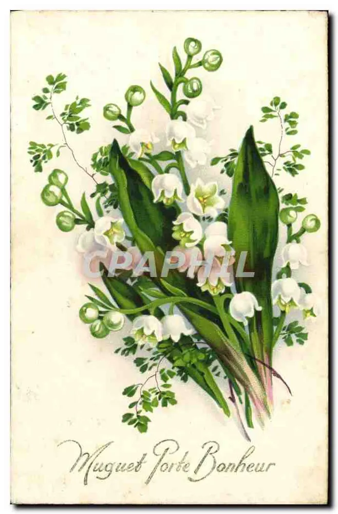Muguet Porte Bonheur — illustration de muguet — éditeur Amag n°2840 - Recto