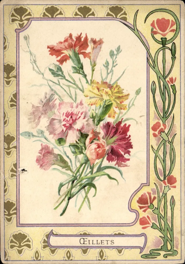 Œillets — bouquet coloré — éditeur CEILLET, n°2 - Awers