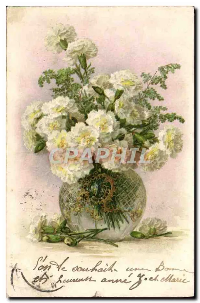 Bouquet de pâquerettes — carte postale — éditeur non identifié - Frente