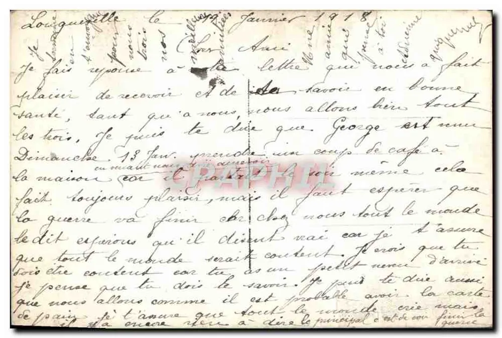 Bouquet de pâquerettes — éditeur REX n° 4364 - Verso