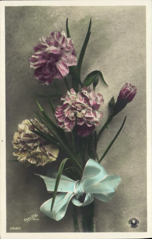 Bukiet pivoine — Gast-Vié Fot. — n° 3820 — Croissant, Paris - Awers