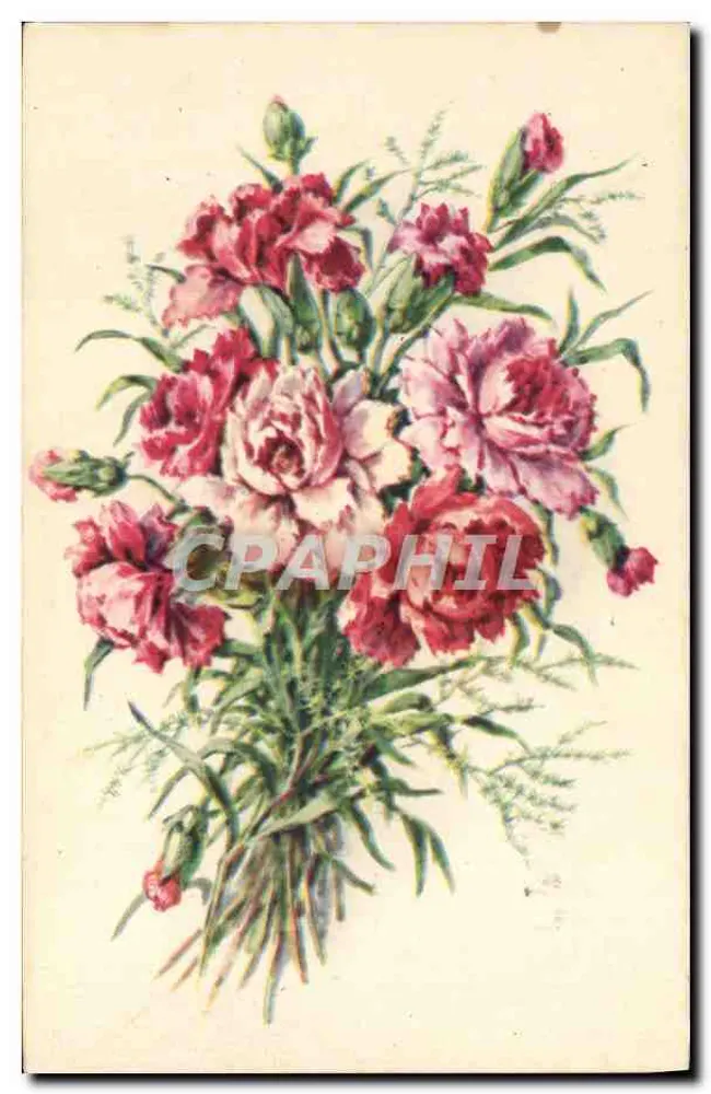 Arranjo de pivoines — ilustração — Fabricação Francesa 'E.R.' Paris - Frente