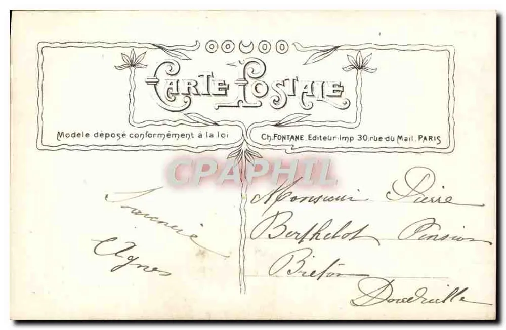 Bukiet pionów i paproci — Cº Wyd. Dearie — n° 3084 - Rewers