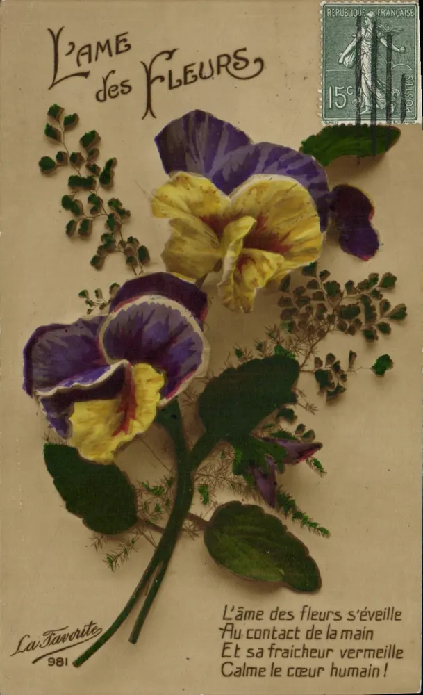 Violet en gele penselen — La Favorite 981 — frankatuur 15c Franse Republiek - Voorkant