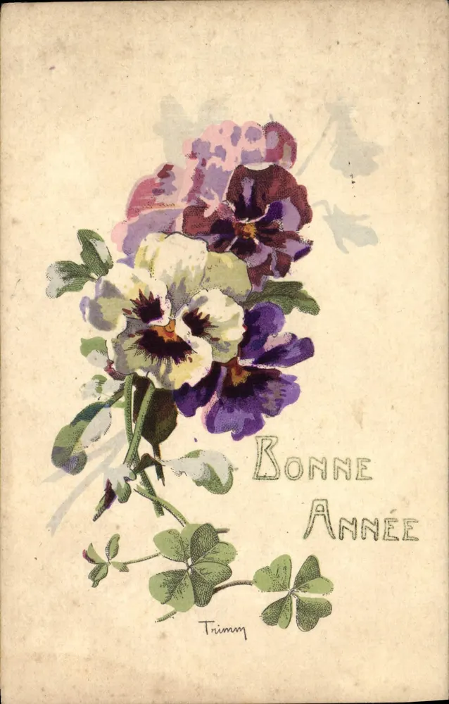 Flores de pensamento — Boa Ano — Trimmy - Frente