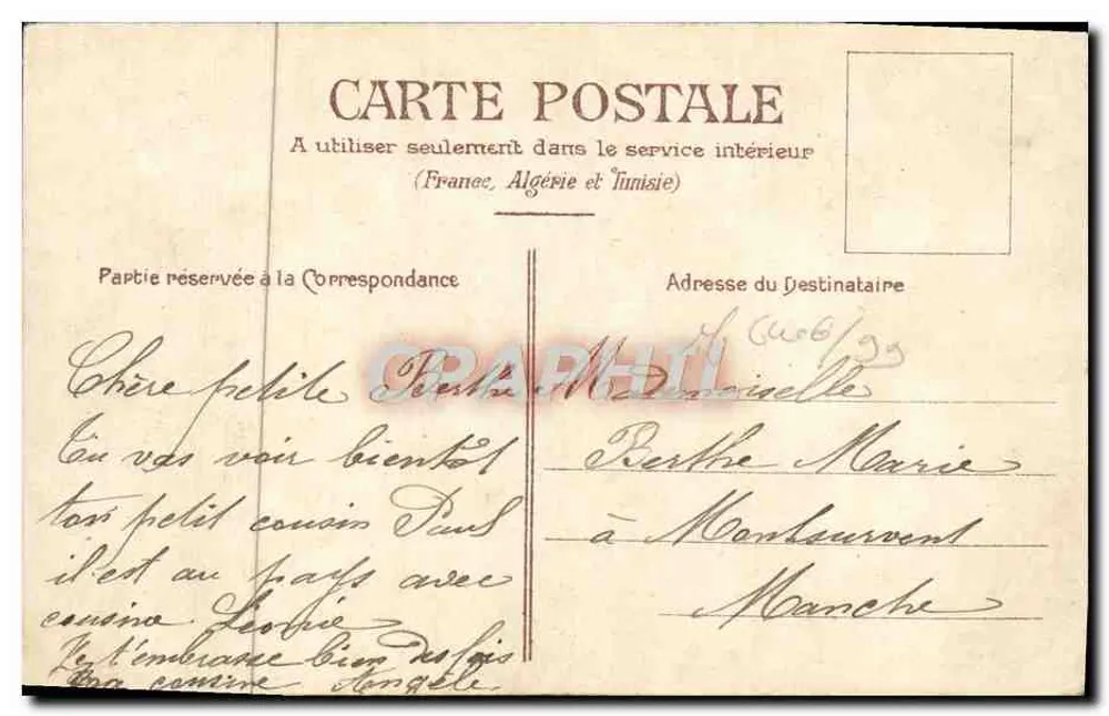 Arranjo de pensos e margaridas — editor não visível — número de série não visível - Verso