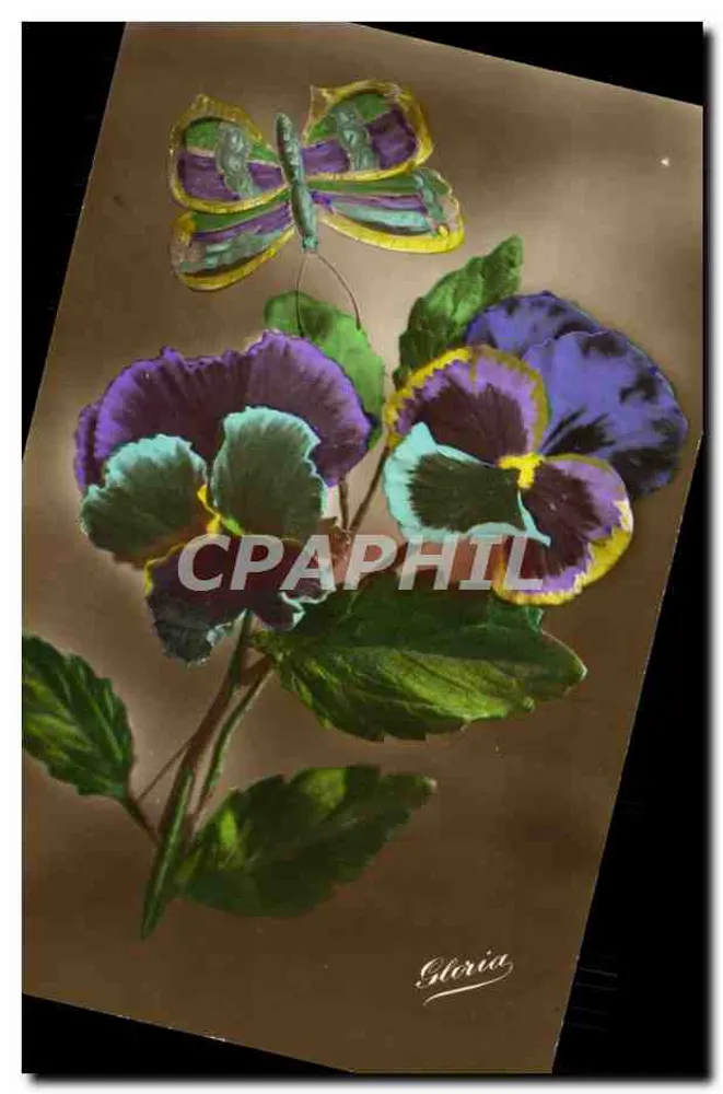 Pansy and Butterfly — Gloria — publisher Gloria, no. 7816/1899 - Front