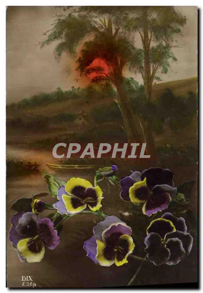 Pansies — paisagem com pôr do sol — DIX n° 63614 - Frente