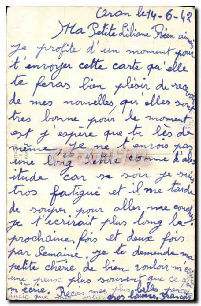 Pansées — variedades amarelas e marrom — editor não visível - Verso