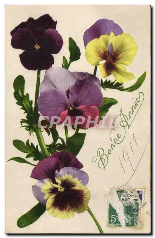 Flores de pensamento — editor desconhecido — datada 1911 - Frente