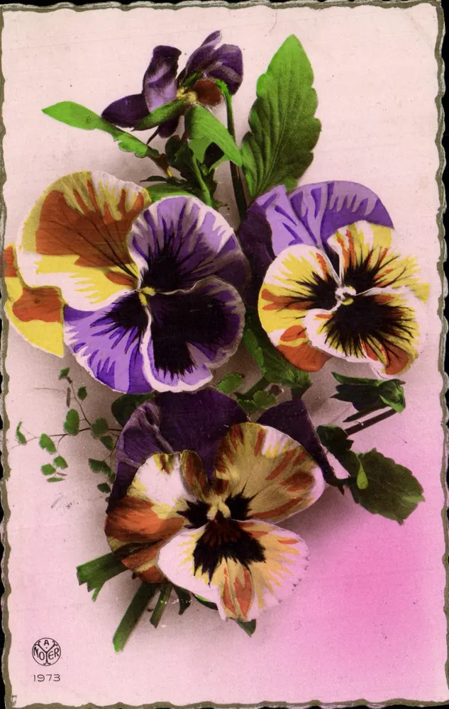 Flores de pensamento — editor RA NOJER, n° de série 1973 - Frente