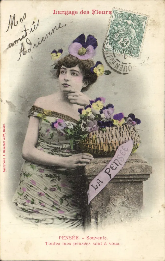 Pensée - Erinnerung - Blumen-Sprache — Phototype A. Berenet & Cie, Nancy - Vorderseite