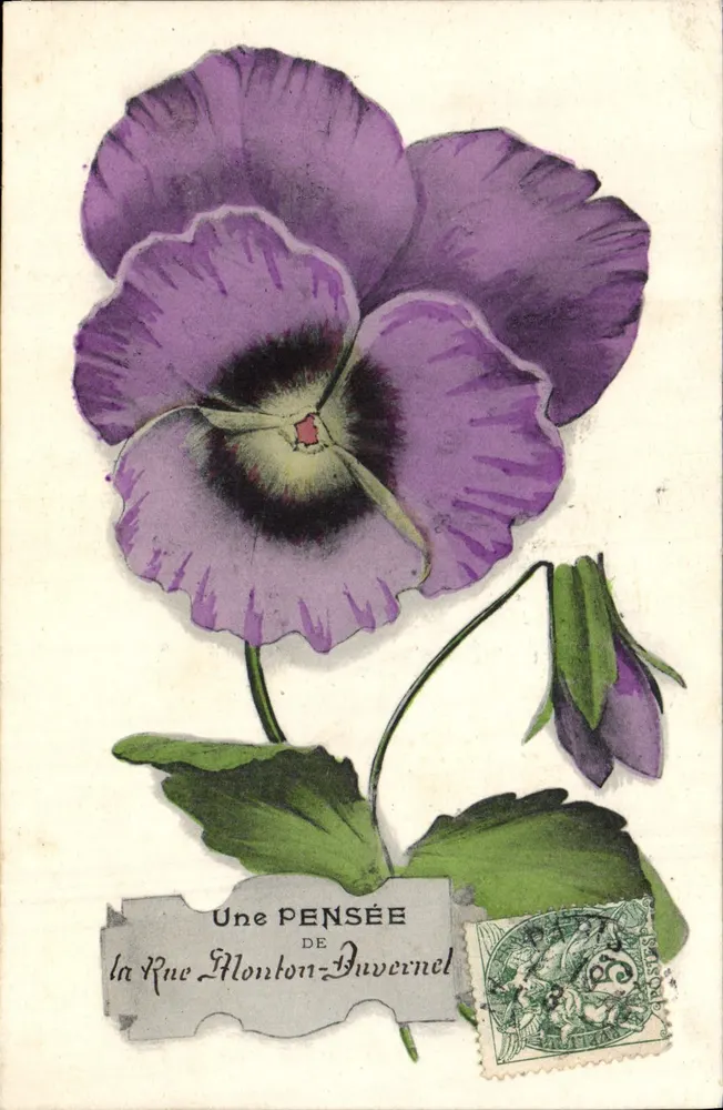 Ein Gänseblümchen — von der Rue Monton-Duvernel — E. Maleuit, Fotograf-Verleger, Paris - Vorderseite