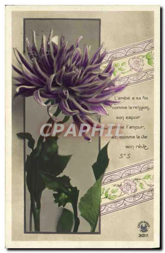 Fiolet — cytata o przyjaźni — Wydawca Gris Saint, nr 3017 - Awers