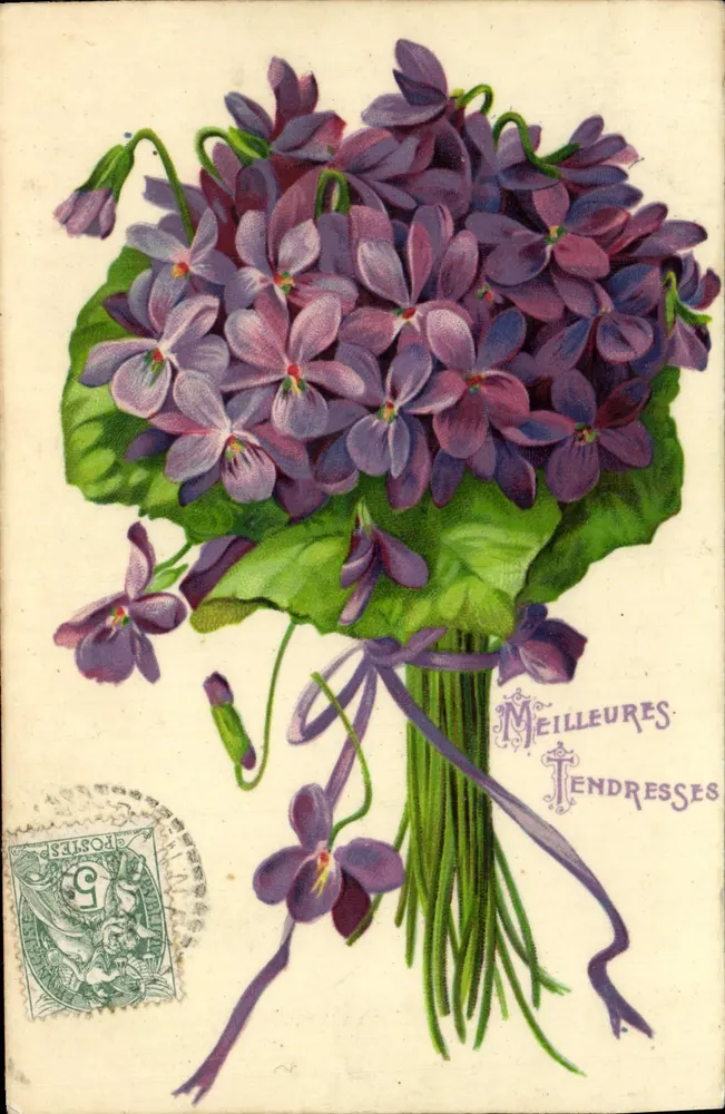 Mata de violetas — Melhores saudações — K. F. Editores, Paris, Série 186 - Frente