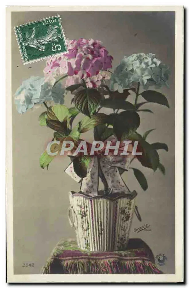 Hortênsias em vaso — ilustração — editor anônimo, n° 3942 - Frente