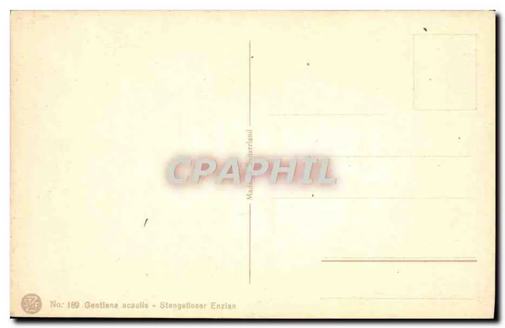 Gentiana acaulis - Stengelloser Enzian — Gentiana acaulis - Enzian bez pędu — wydawca Maillat, Szwajcaria, n° 189 - Rewers