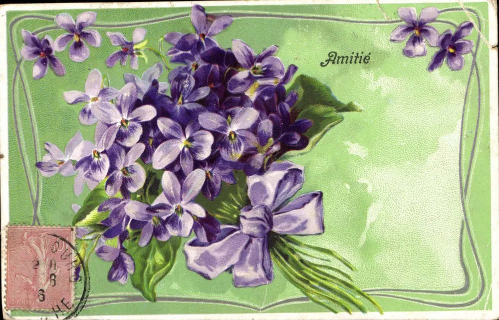 Violets — bouquet avec ruban — éditeur anonyme, n° 38 - Frente