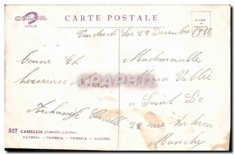Camélia — Camélia japonica — editor COLOR PARIS, n°527 - Verso