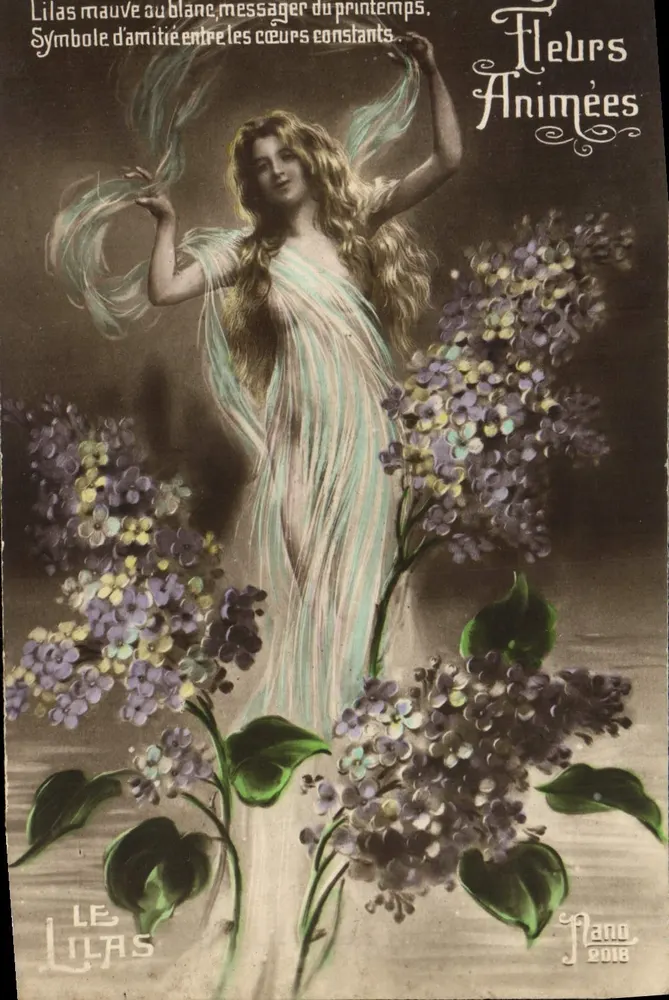 Animierte Blumen — Violette Lilac mit Weiß, Botschafter des Frühlings — DER LILAC, Plano 2018 - Vorderseite