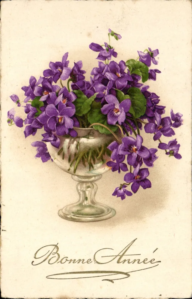 Violetas — Boa Ano — editor desconhecido, número de série 504 - Frente