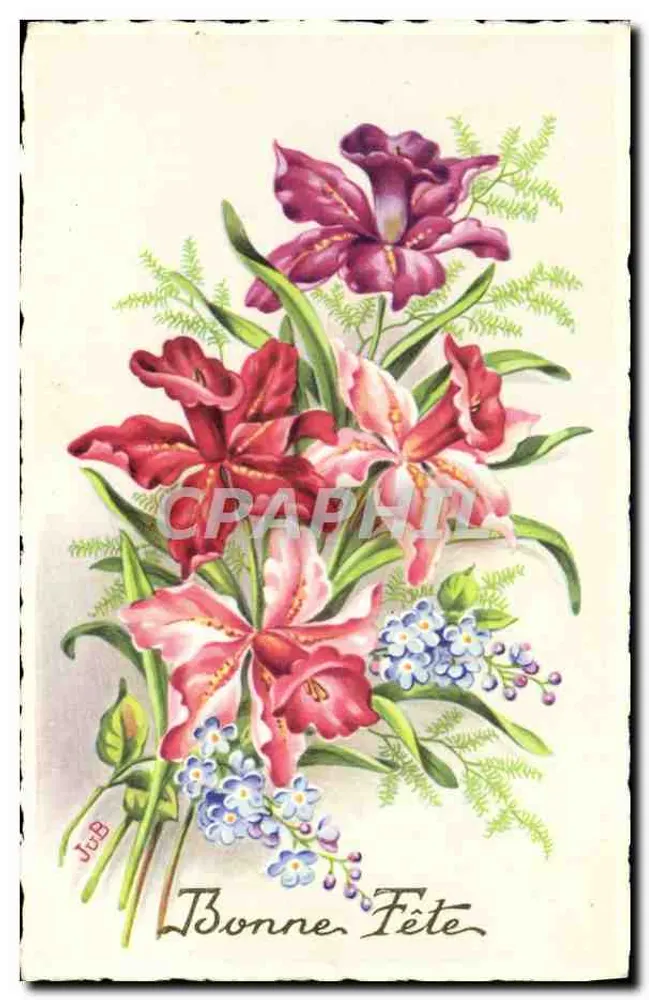लिली और आयरिस का बूंदा — शुभकामना — जे.सी.बी. — श्रृंखला संख्या 4.630 - आगे