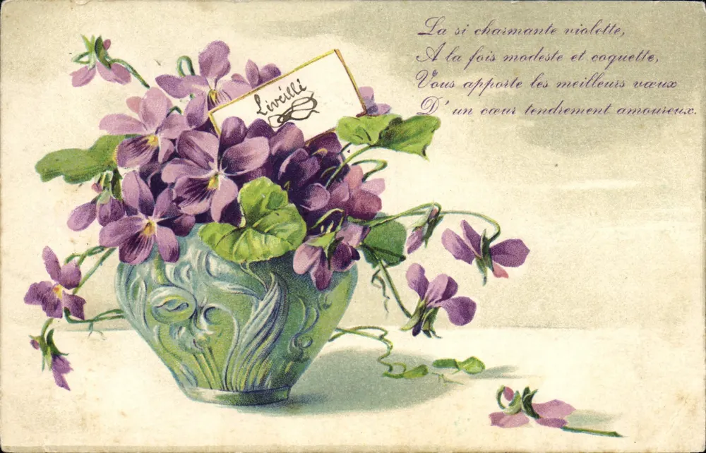 Violeta em um vaso — editor Livreilli, número de série não visível - Frente