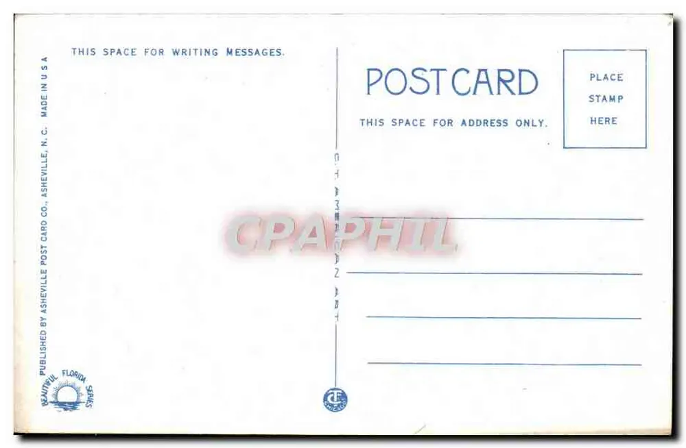 Poinsettia Blossom — Florida — Asheville Post Card Co. n°169 - Rückseite