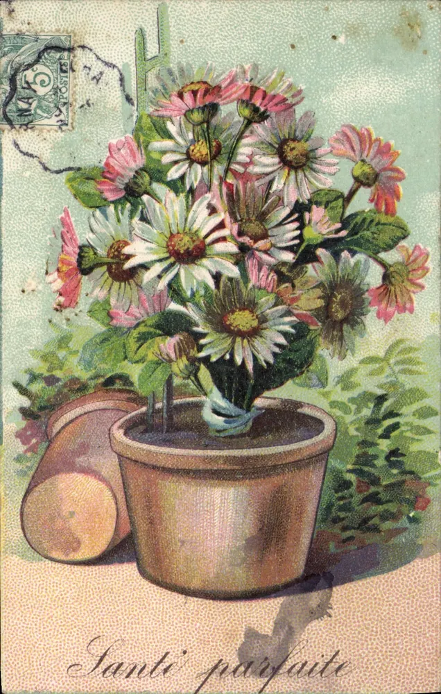 Buquê de flores — 'Saúde perfeita' — editor não visível - Frente