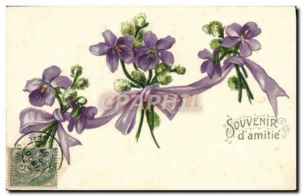 Violetas — Lembrança de amizade — Editor não visível - Frente