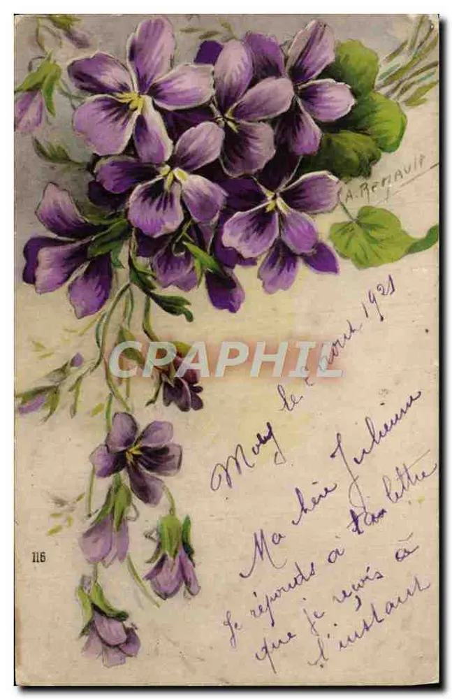 Violetas — ilustração assinada por A. Renavut — n° 116 - Frente
